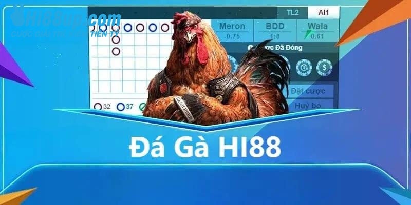 Đá gà tại Hi88 đảm bảo sự đa dạng, lựa chọn phong phú
